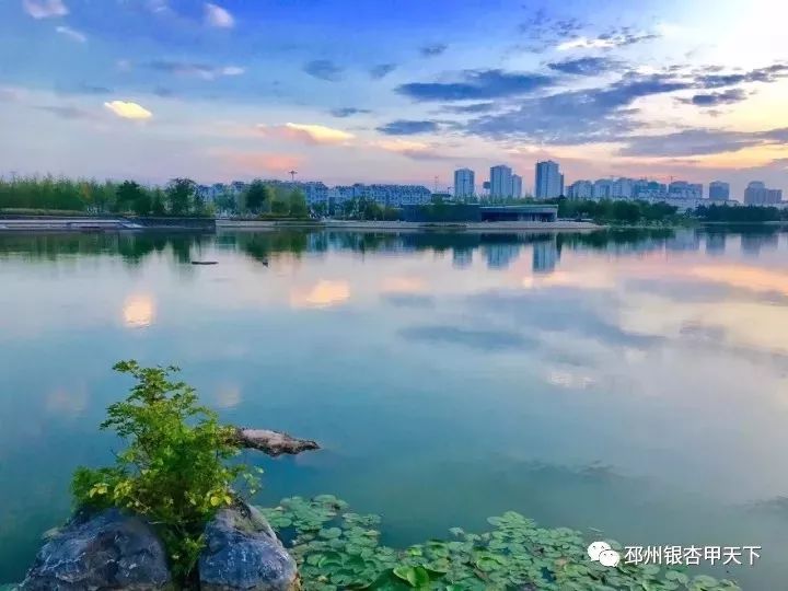 邳州   营养餐_邳州学生营养餐_邳州营养餐招聘