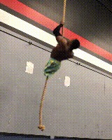 肌肉男摔跤训练之找的就是你_无规则肌肉男摔跤_肌肉摔跤视频