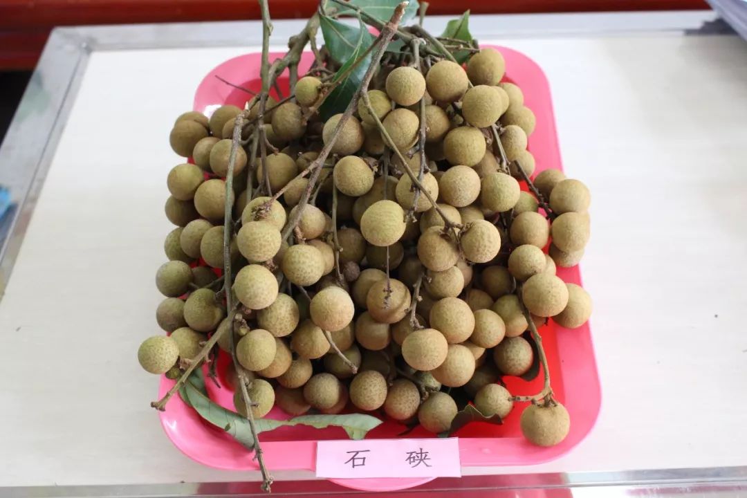 桂平龙潭马拉松_马拉松广西桂平赛区_广西平南马拉松