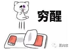 鸭子健身操视频_鸭子教练健身操视频_健身教练当鸭子
